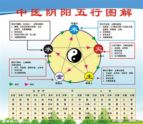 杏色五行|易经中的五行对应颜色